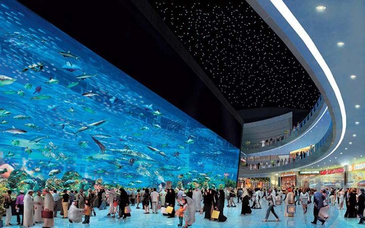 Dubai Aquarium Tickets